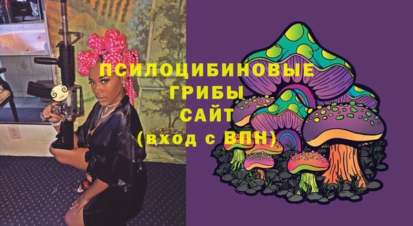 дмт Алексеевка