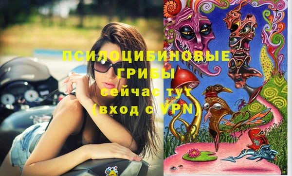 хмурый Абинск