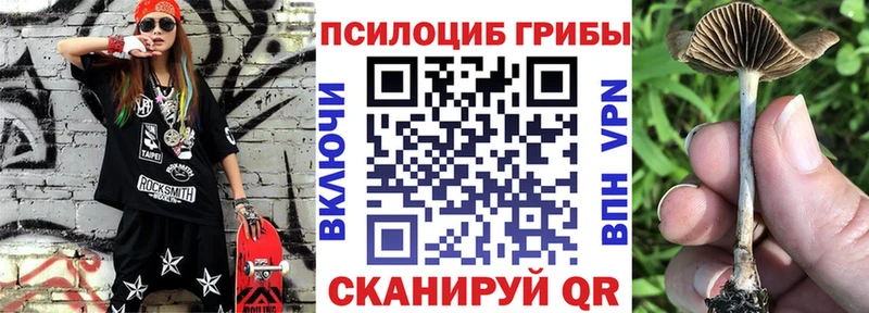 площадка официальный сайт  Бобров  Галлюциногенные грибы MAGIC MUSHROOMS 